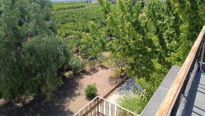 Vistas